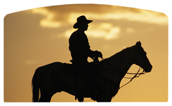 DACRO-360-BZ Cowboy Bronze